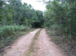 laguna_azul_road_l.jpg